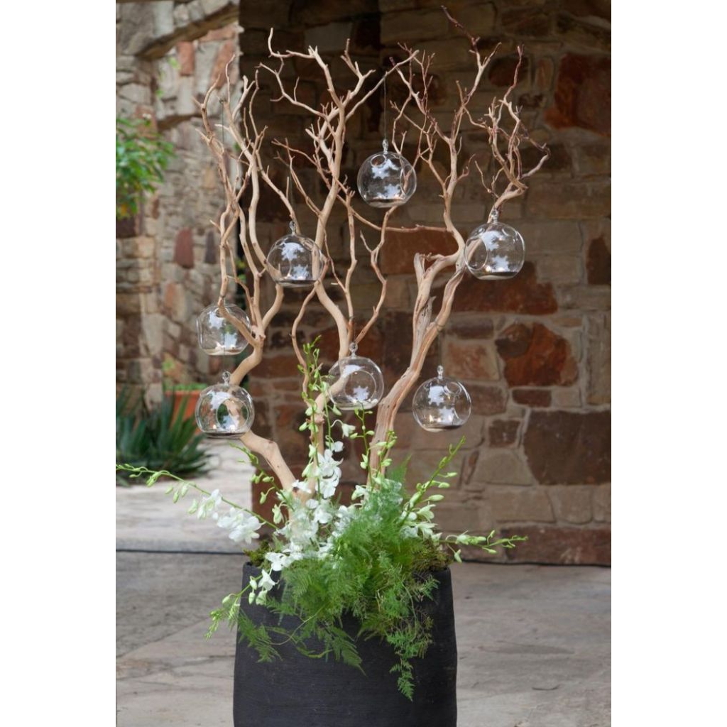 Ranting Pohon Dekorasi Batang Kayu Bercabang Dekorasi Aesthetic