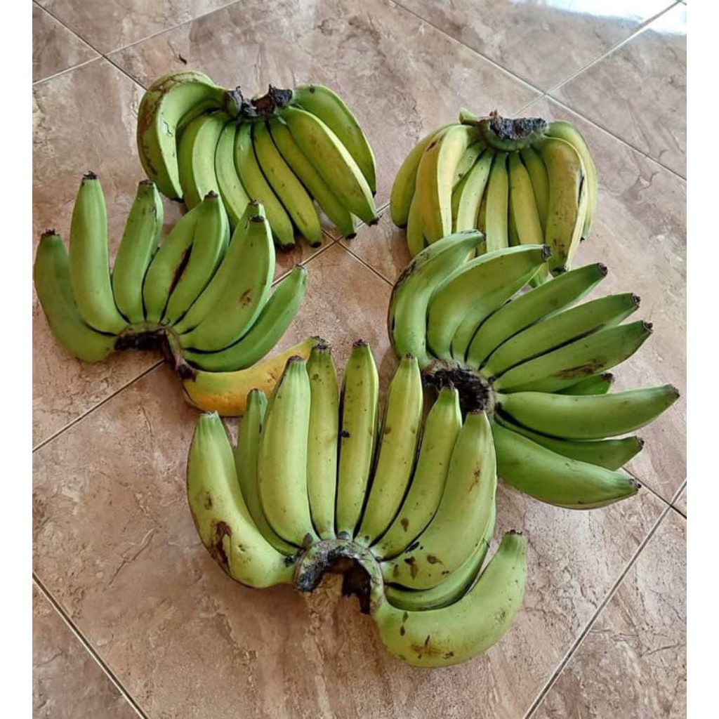 

pisang Ambon 1 sisir