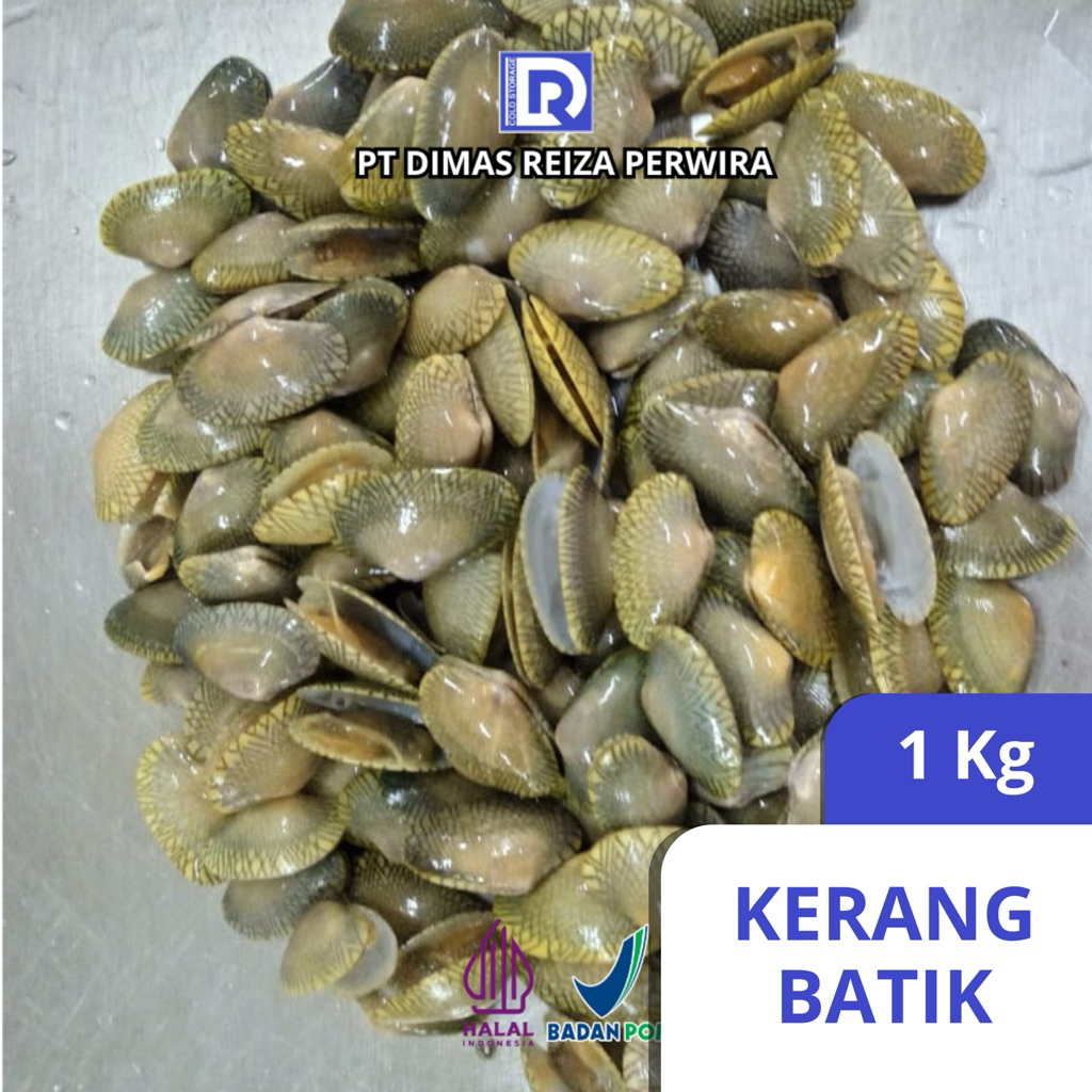 

drpseafood Kerang Batik Fresh Frozen Termurah @1Kg