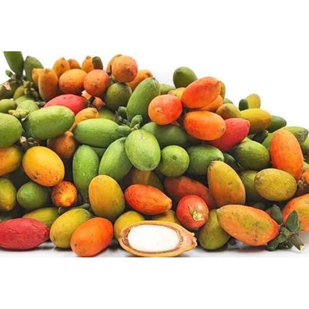 

Melinjo Fresh 250 gr (Sayuran Segar)