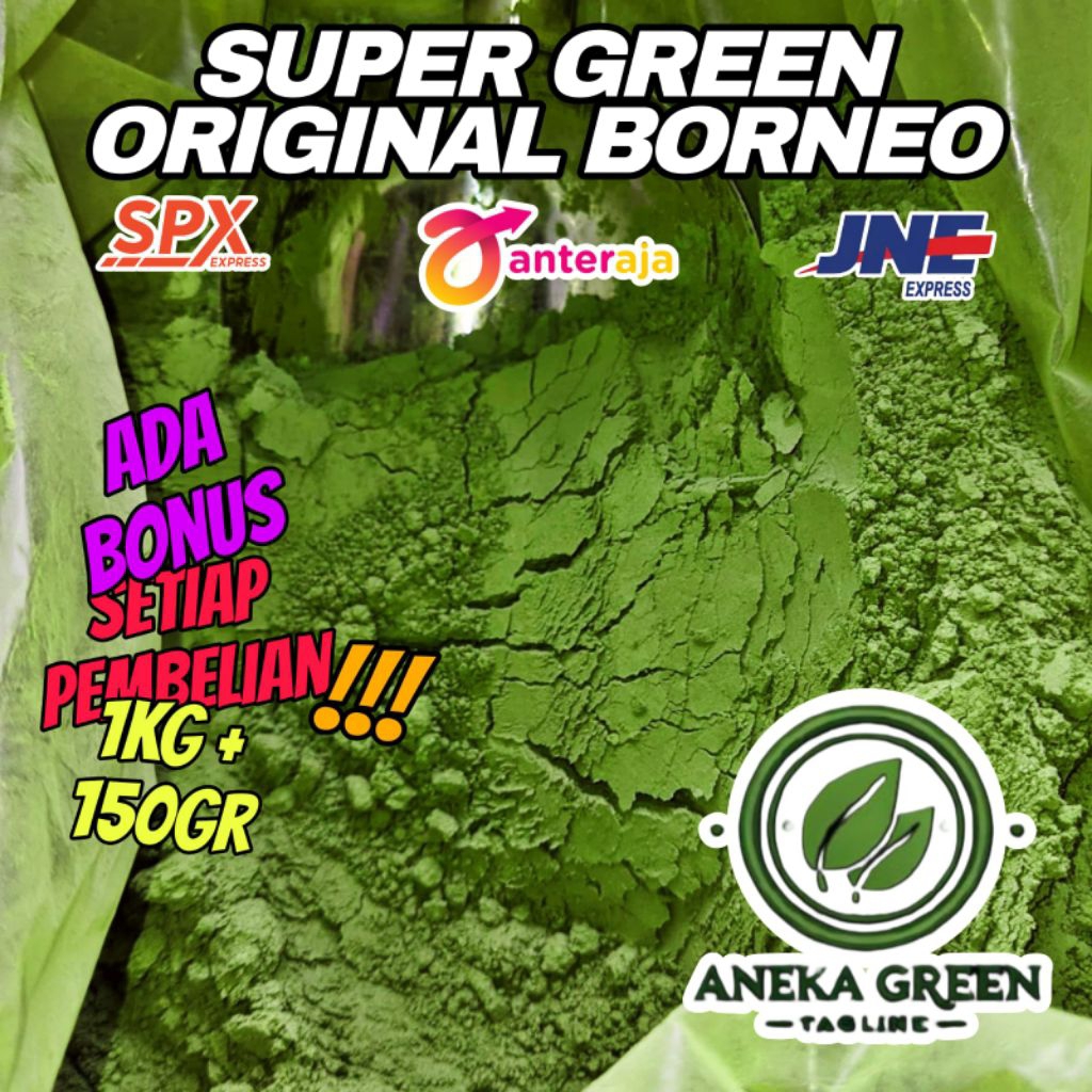 

Bubuk seduhan morriengka bornean sgreen