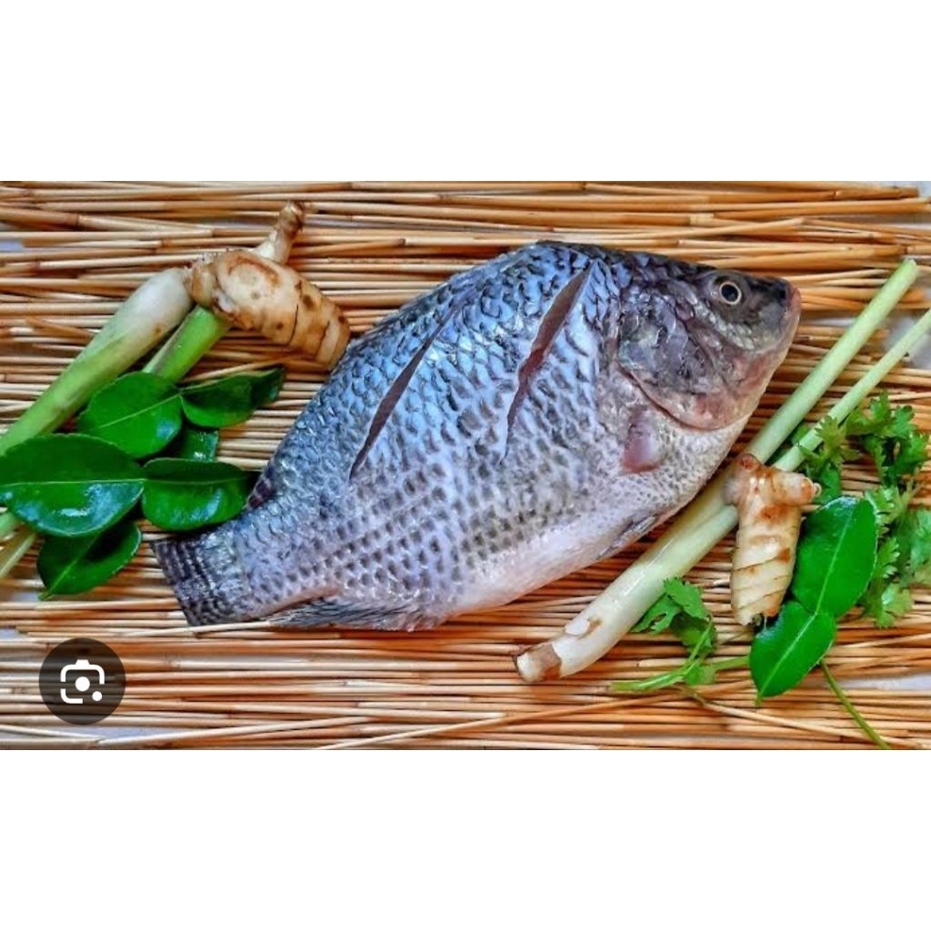 

ikan mujaer segar fresh 1kg