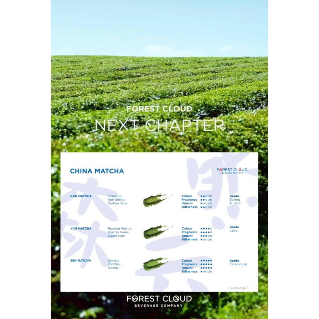 

Forest Cloud Beverage Company - Matcha [Preorder]