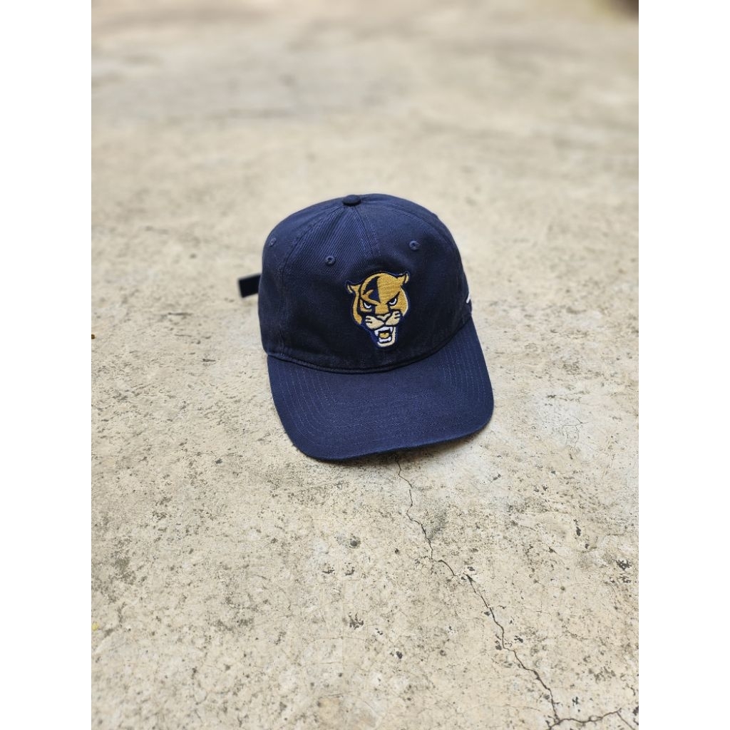 Florida International University Panthers Cap