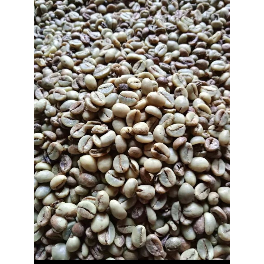 

biji kopi sambung 1kg/kopi robusta