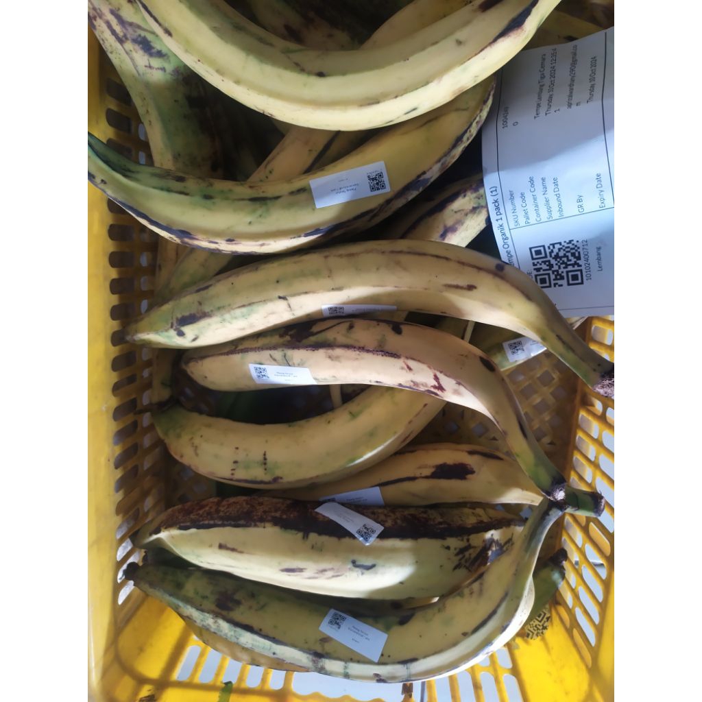 

pisang tanduk asli 1 kg isi 3-5pcs