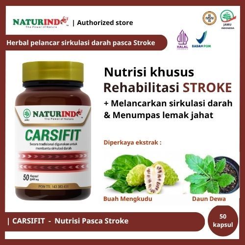Herbal obat Stroke ringan mati sebelah kaku dan tremor serta nutrisi rehabilitasi terapi stroke