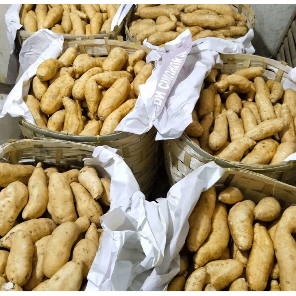 

Ubi Madu Cilembu Mentah 5Kg