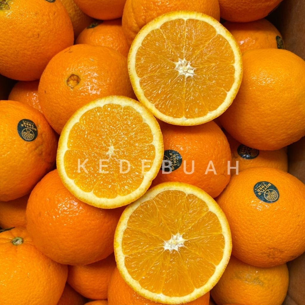 

Jeruk Navel Australia 1 Kg