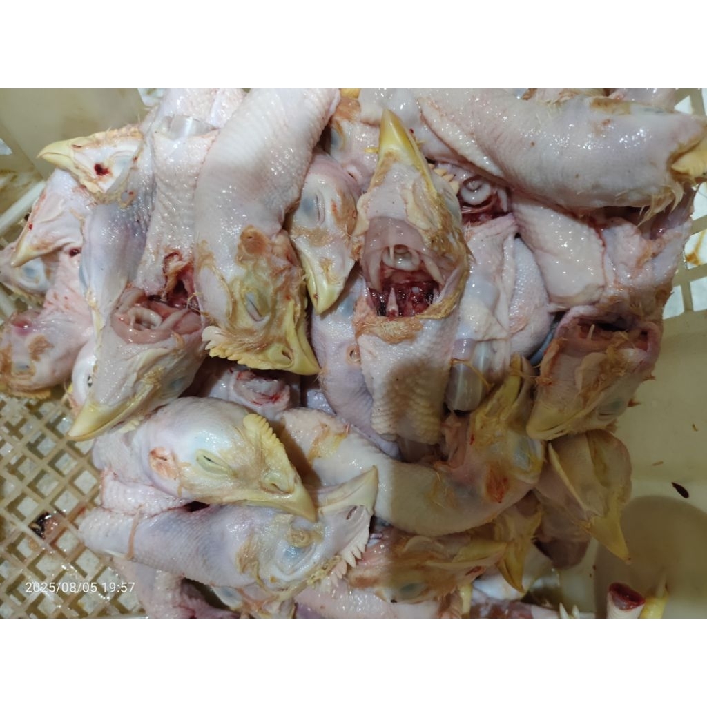 

Kepala ayam broiler fresh & bersih 1kg