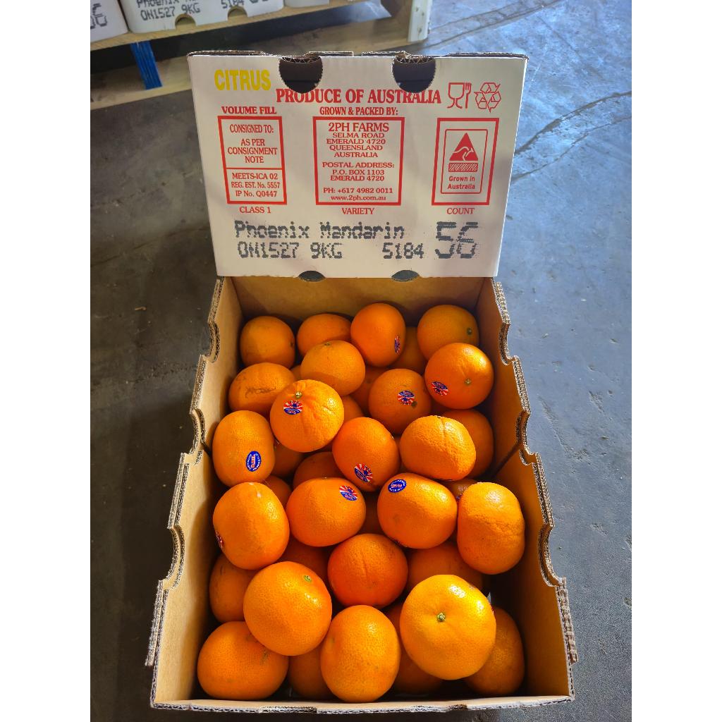 

Jeruk Murcot Australia (KG)