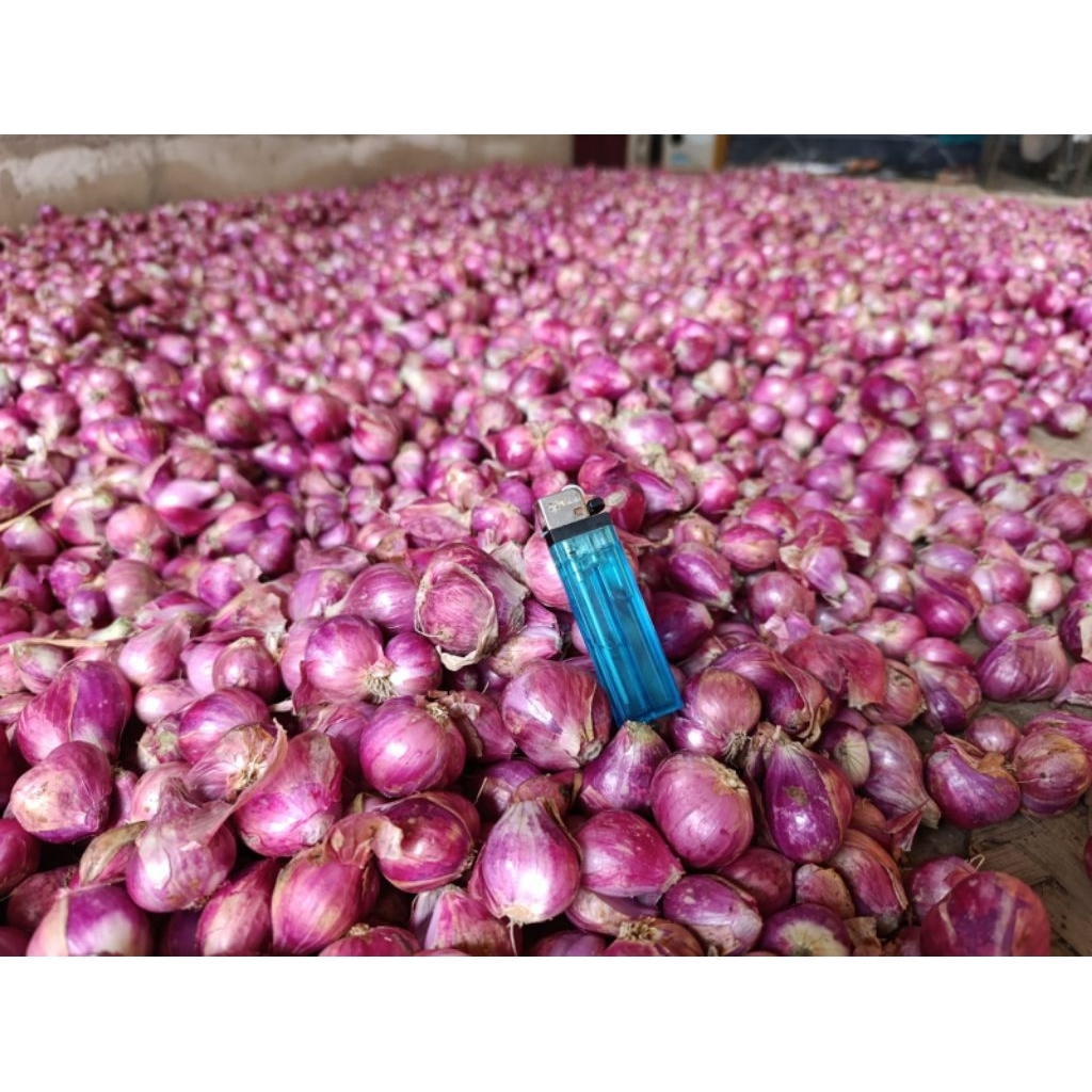 

Bawang Merah Murah Super