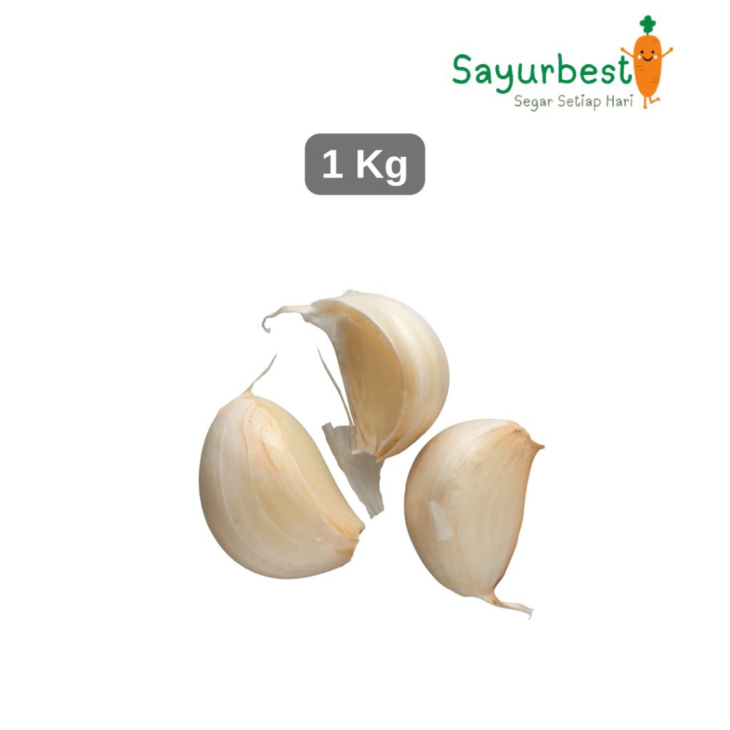 

Bawang Putih Kating 1 Kg