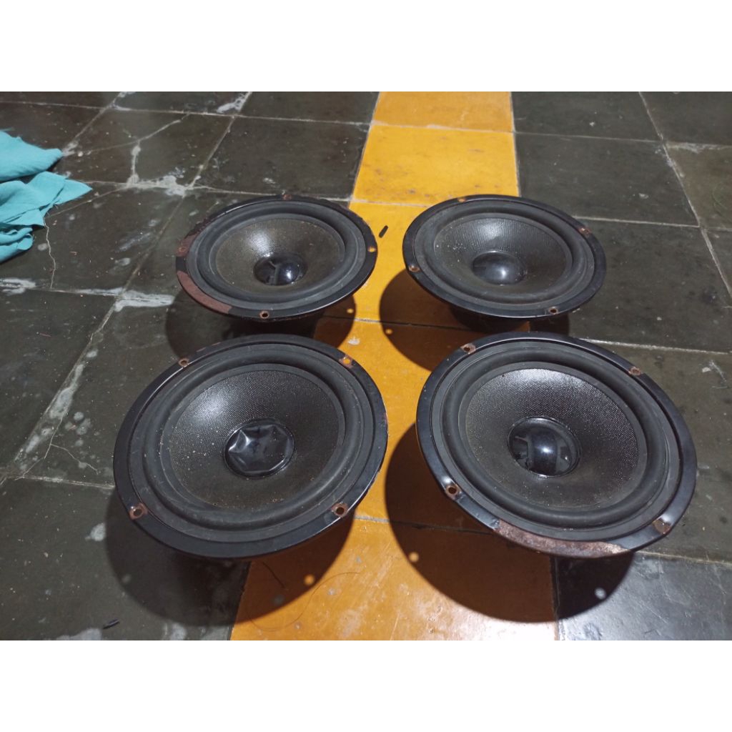 speker EASY ART woofer 6 inch