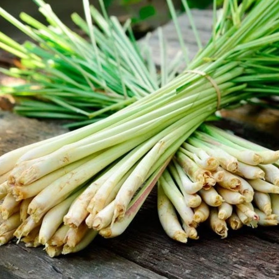 

Daun Sereh / Serai Segar Fresh Kemasan 1 Kg