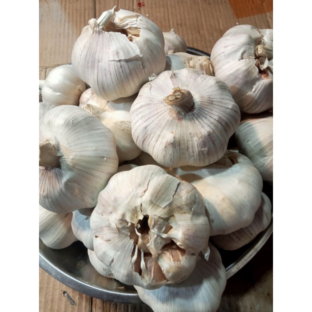 

Bawang Putih Kulit 500 gram harga termurah