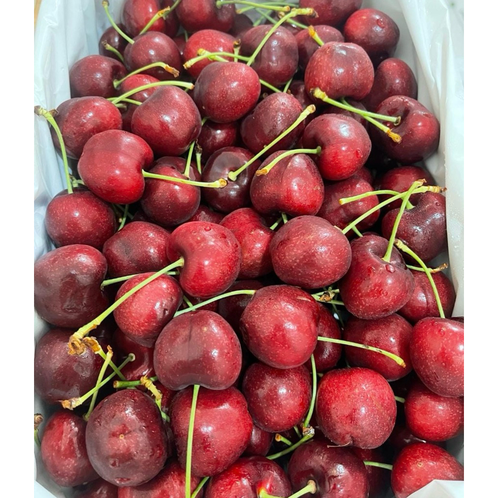 

Cherry Red Import / Ceri Merah Australia Fresh 250gram