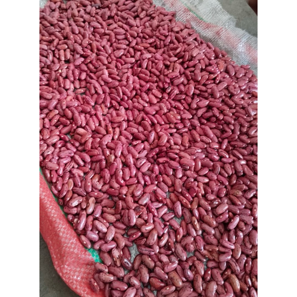 

kacang joglo ( merah lokal ) 1kg