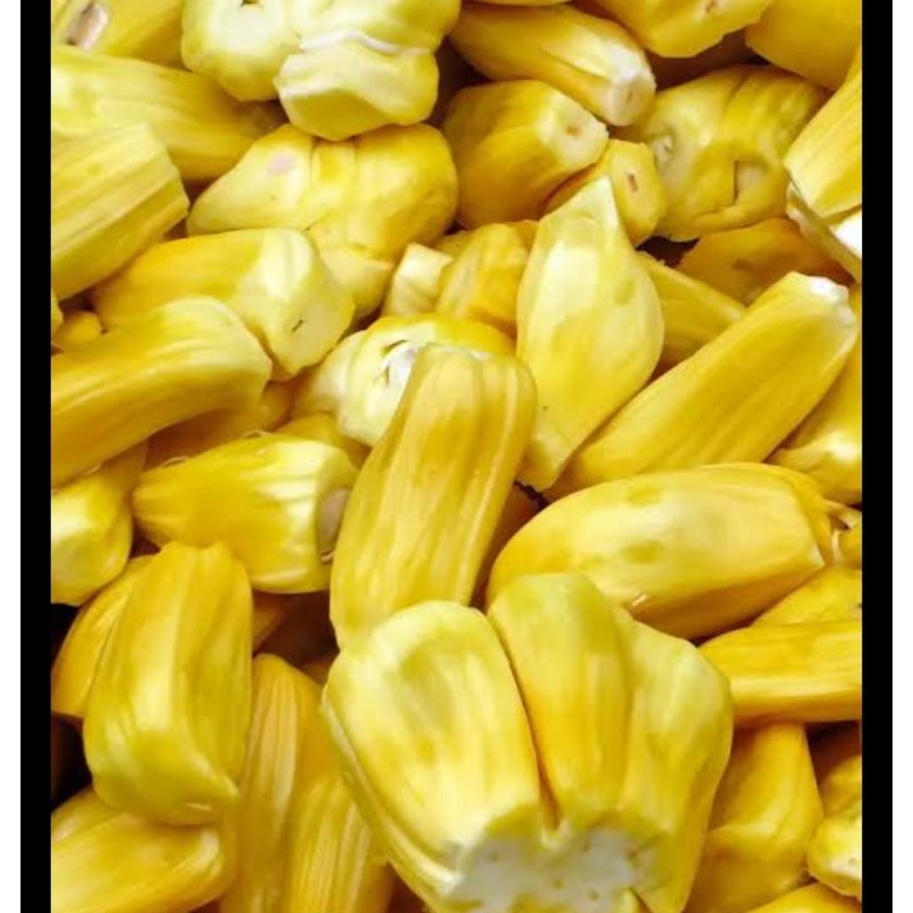 

buah nangka manis masak 250g,500g