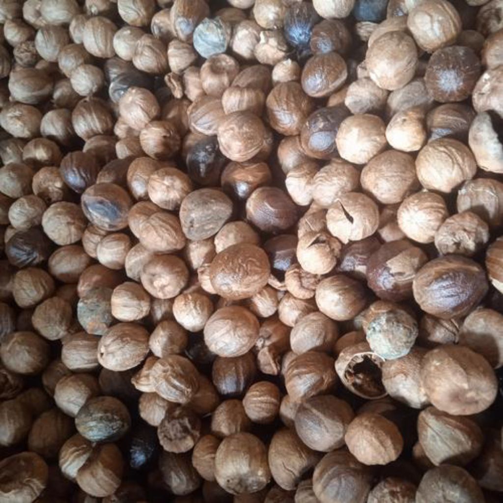 

grosir buah pala tua sudah kupas per 5 KG