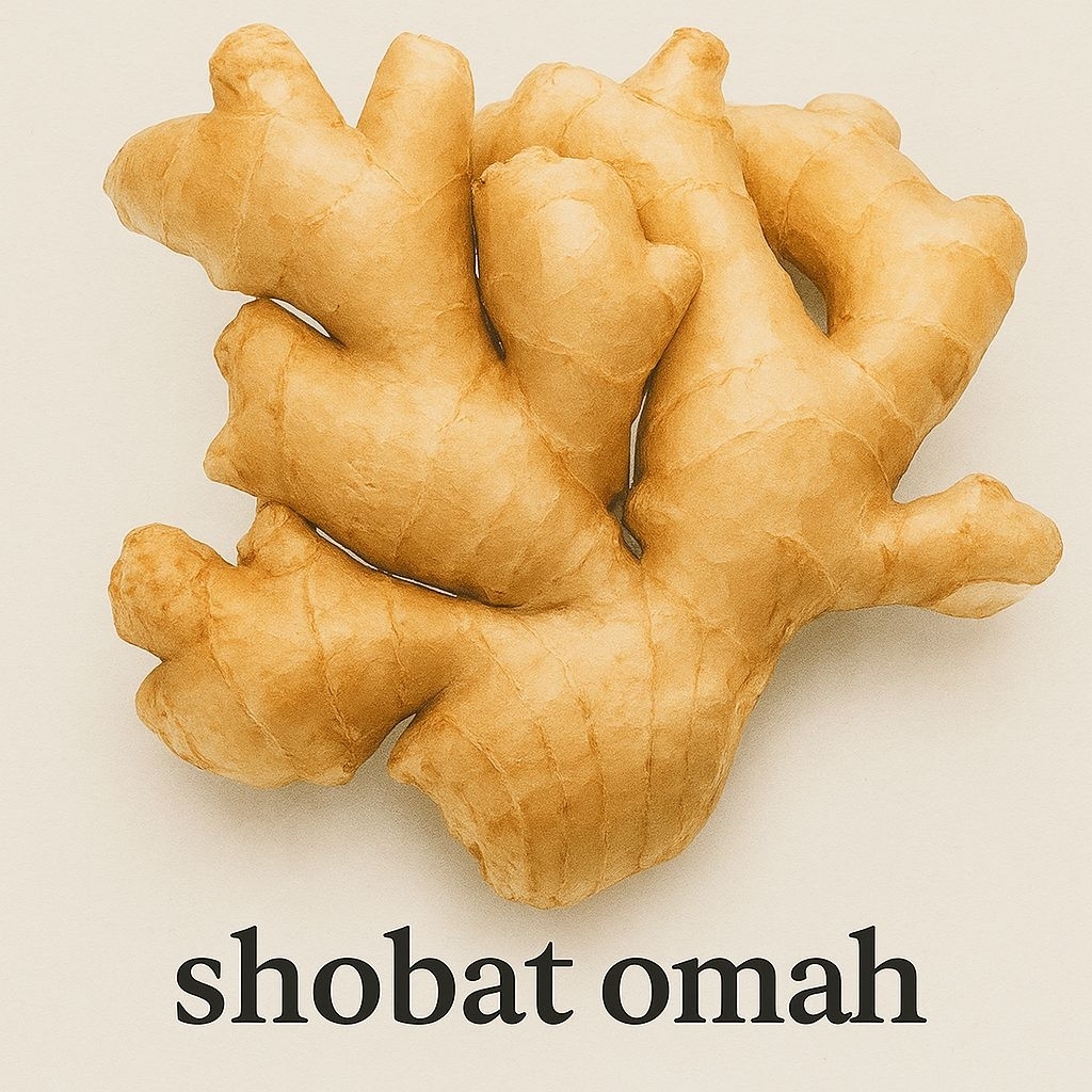 

JAHE GAJAH FRESH BERSIH 1 KG