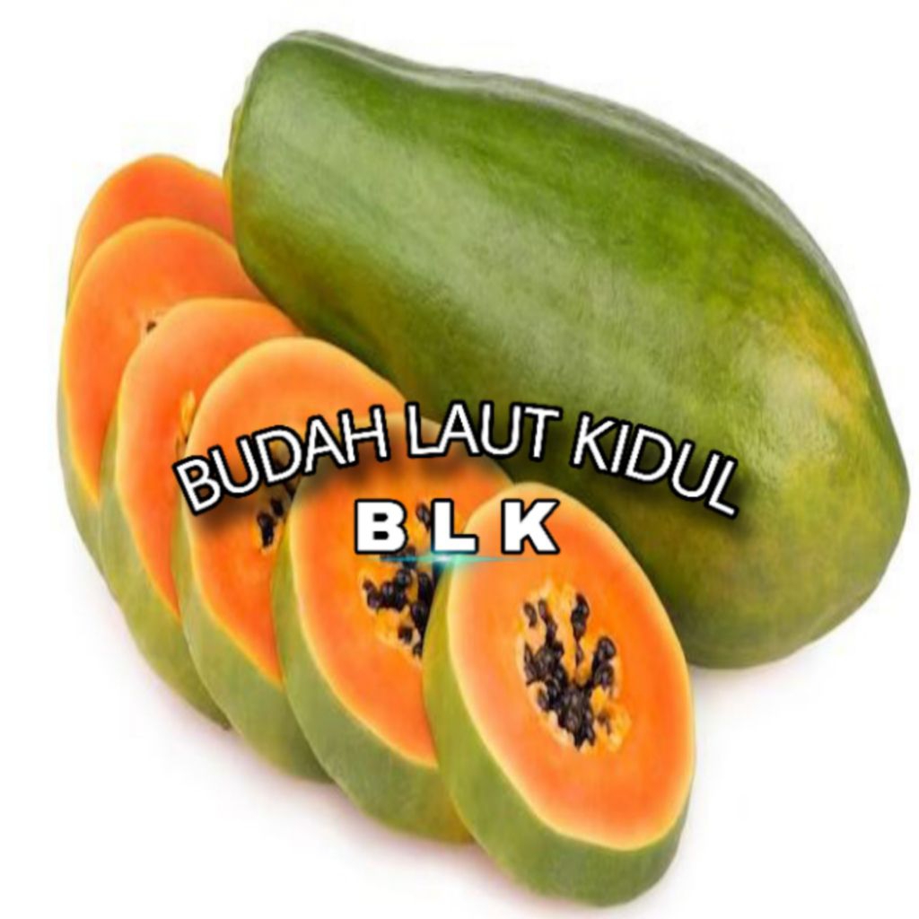 

Buah pepaya California Mateng | buah pepaya California | 1pcs = 1kg