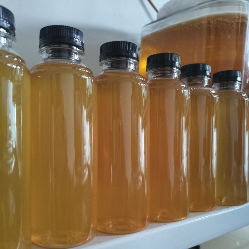

kombucha 250 ml | minuman herbal alami | minuman kesehatan