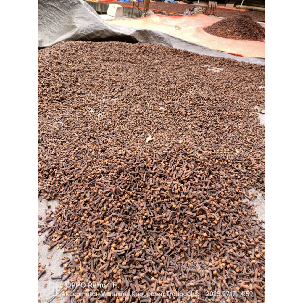 

cengkeh kering 100 gram