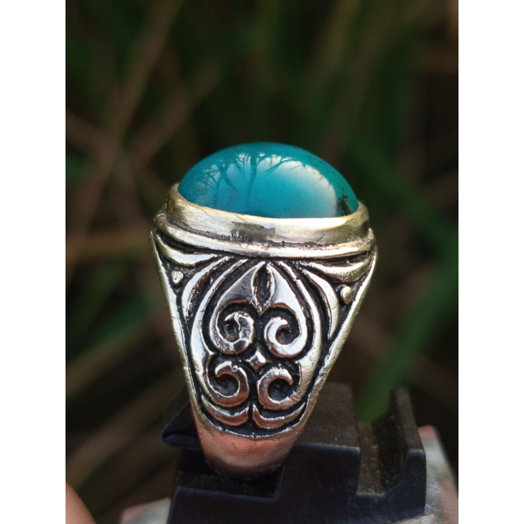 BACAN DOKO ASLI ORIGINAL