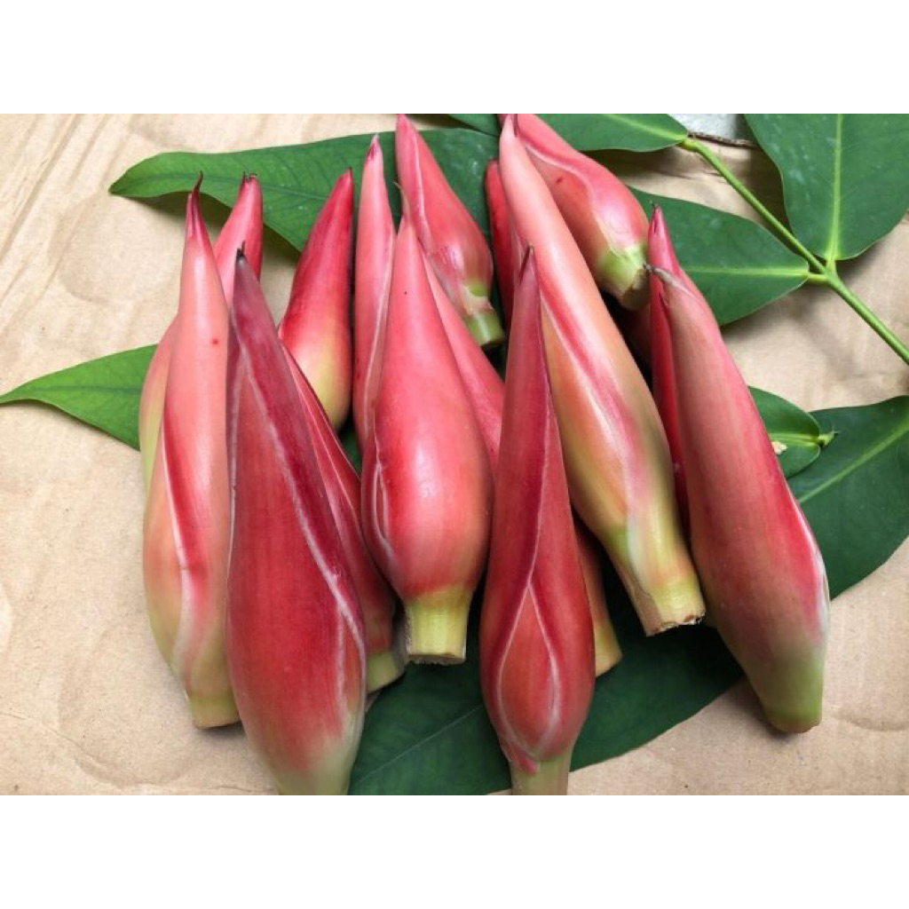 

Bunga Kecombrang/Bunga Rombeh Segar 500gr