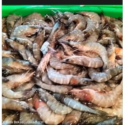 

Udang Kecil Segar 1kg/500grm