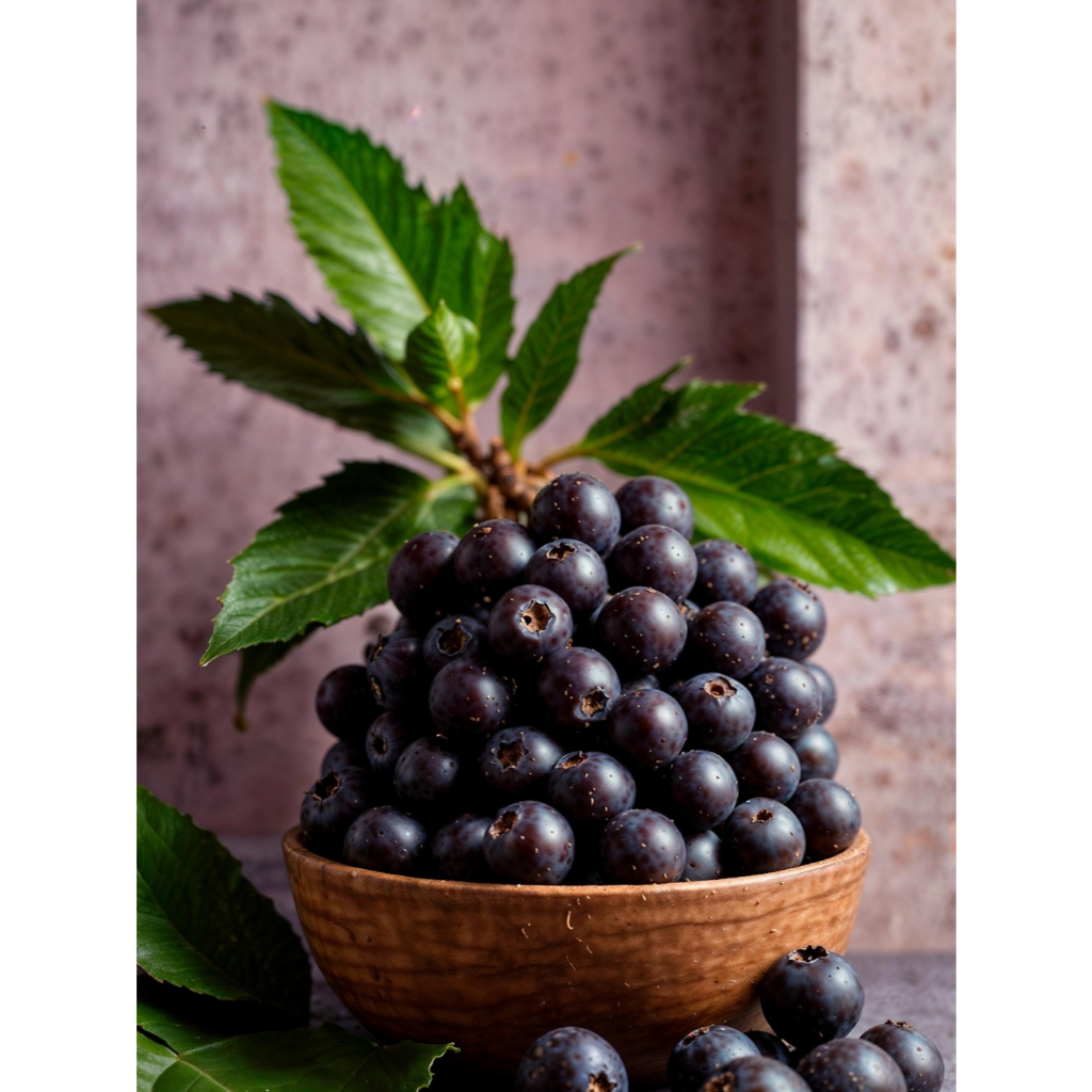 

Blueberry Frozen Premium | Blueberry Beku