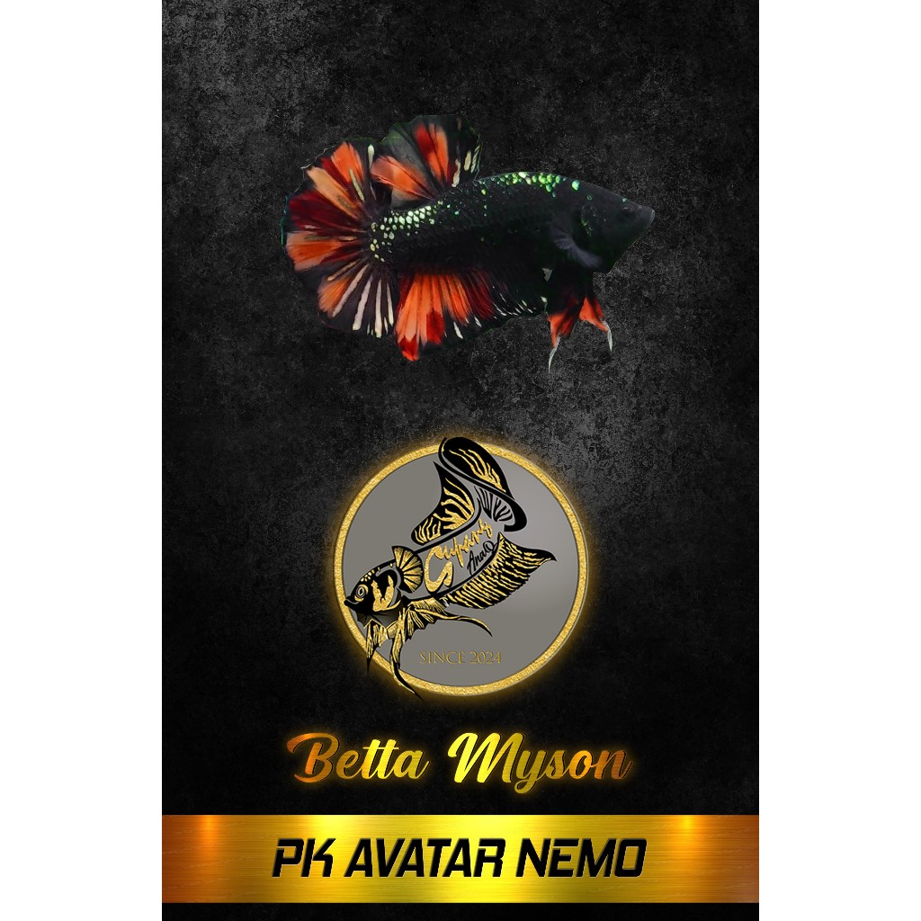 CUPANG AVATAR NEMO COOPER PALING VIRAL MEWAH BALANCE