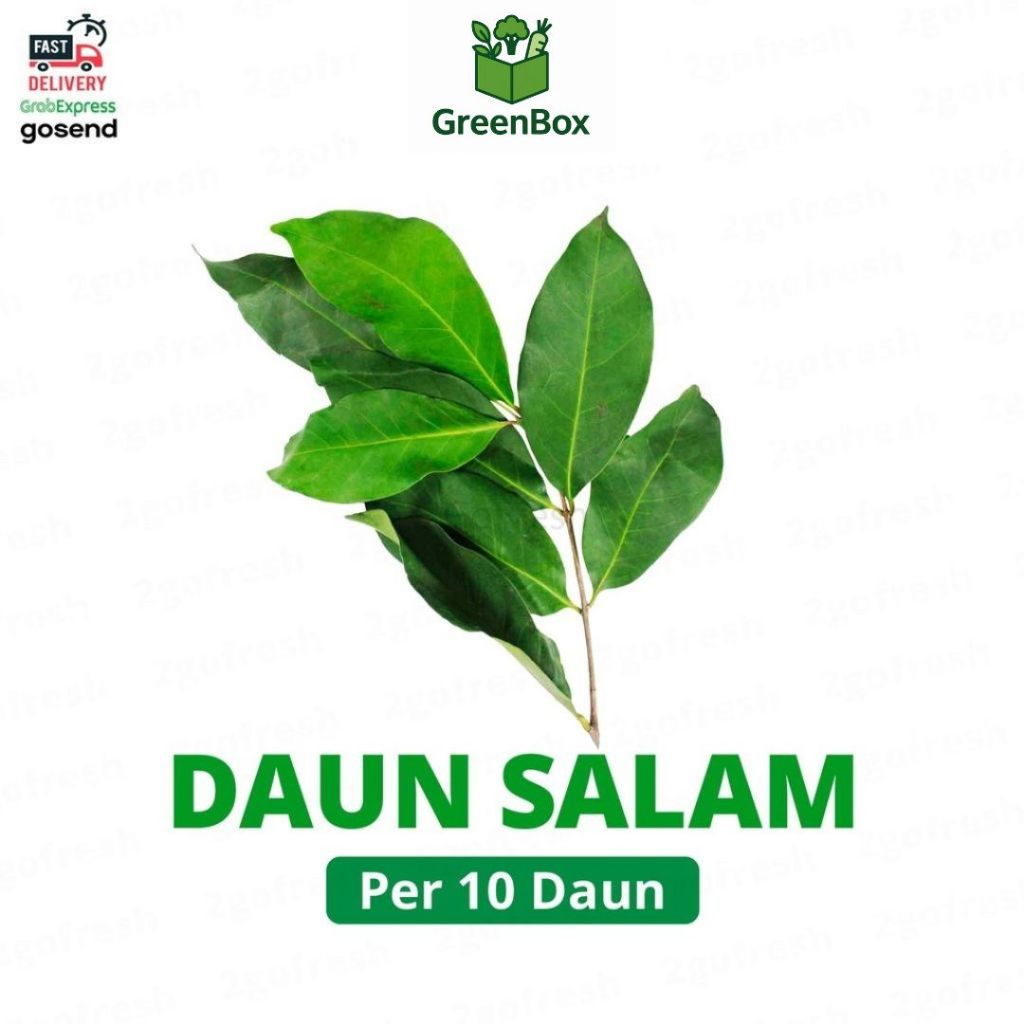 

Daun Salam Fresh - Sayur Sayuran / Daun Salam Tinggi