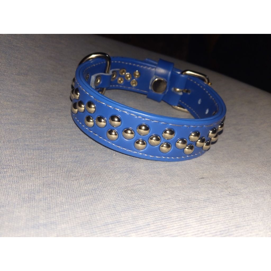 kalung anjing kampung