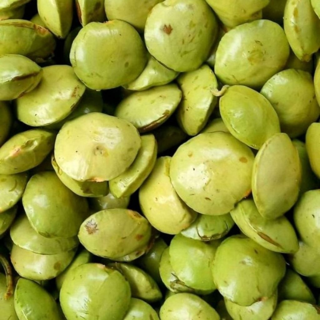 

kalapan jengkol muda segar(sudah kupas) berat 1 kg