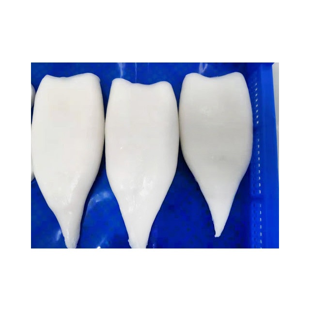 Cumi Segar 1Kg Cumi Kupas Bersih Cumi Tube Segar Premium