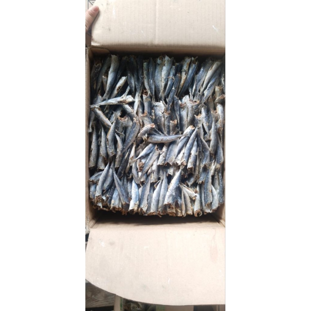 

Layang Rebus Gundul ( Tanpa Rambut Tanpa Kepala )