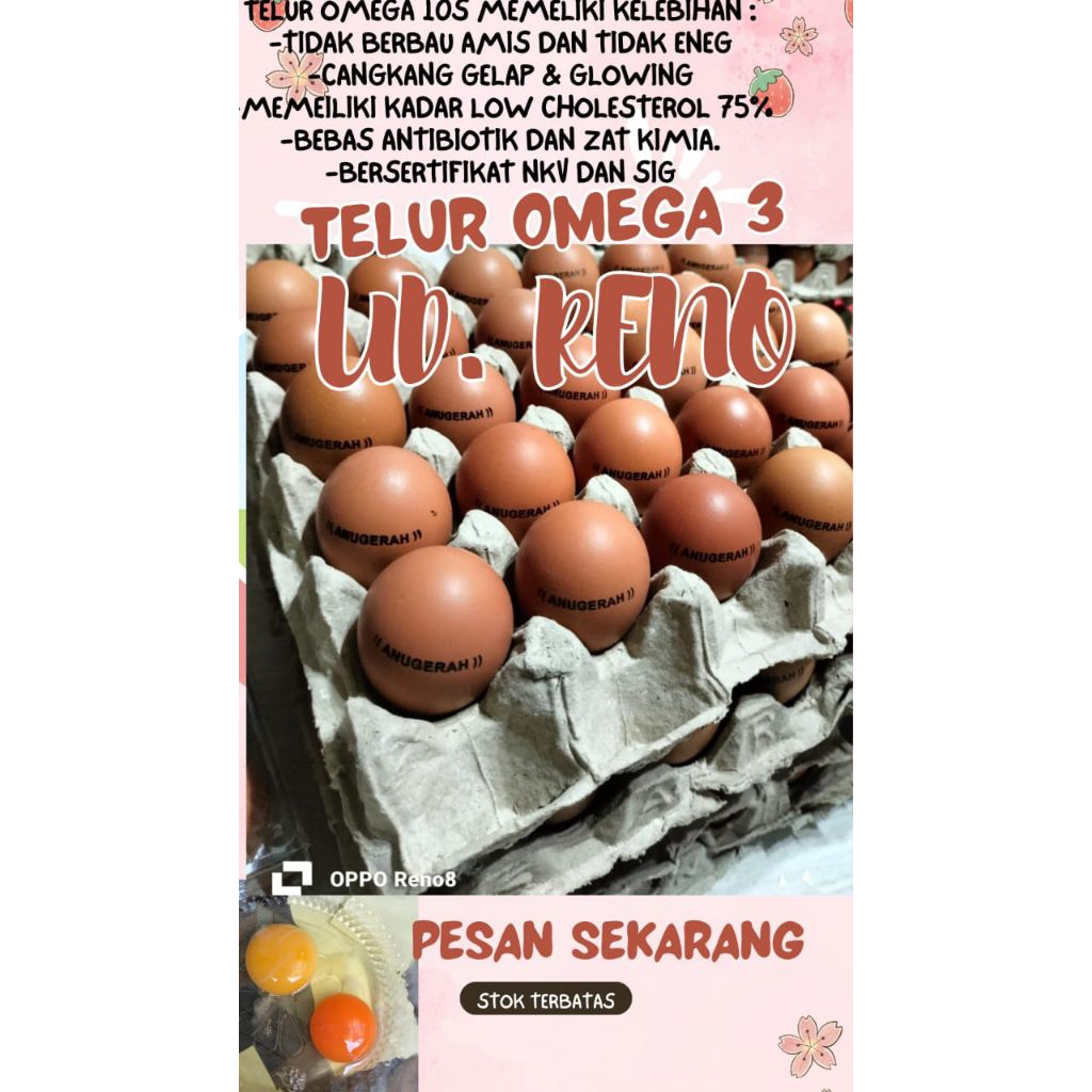 

TELUR OMEGA 3 30 BUTIR/ UKURAN BESAR