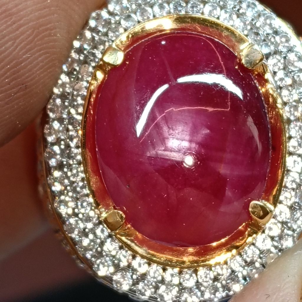 ruby Burma pigeon metarial padat star windusara