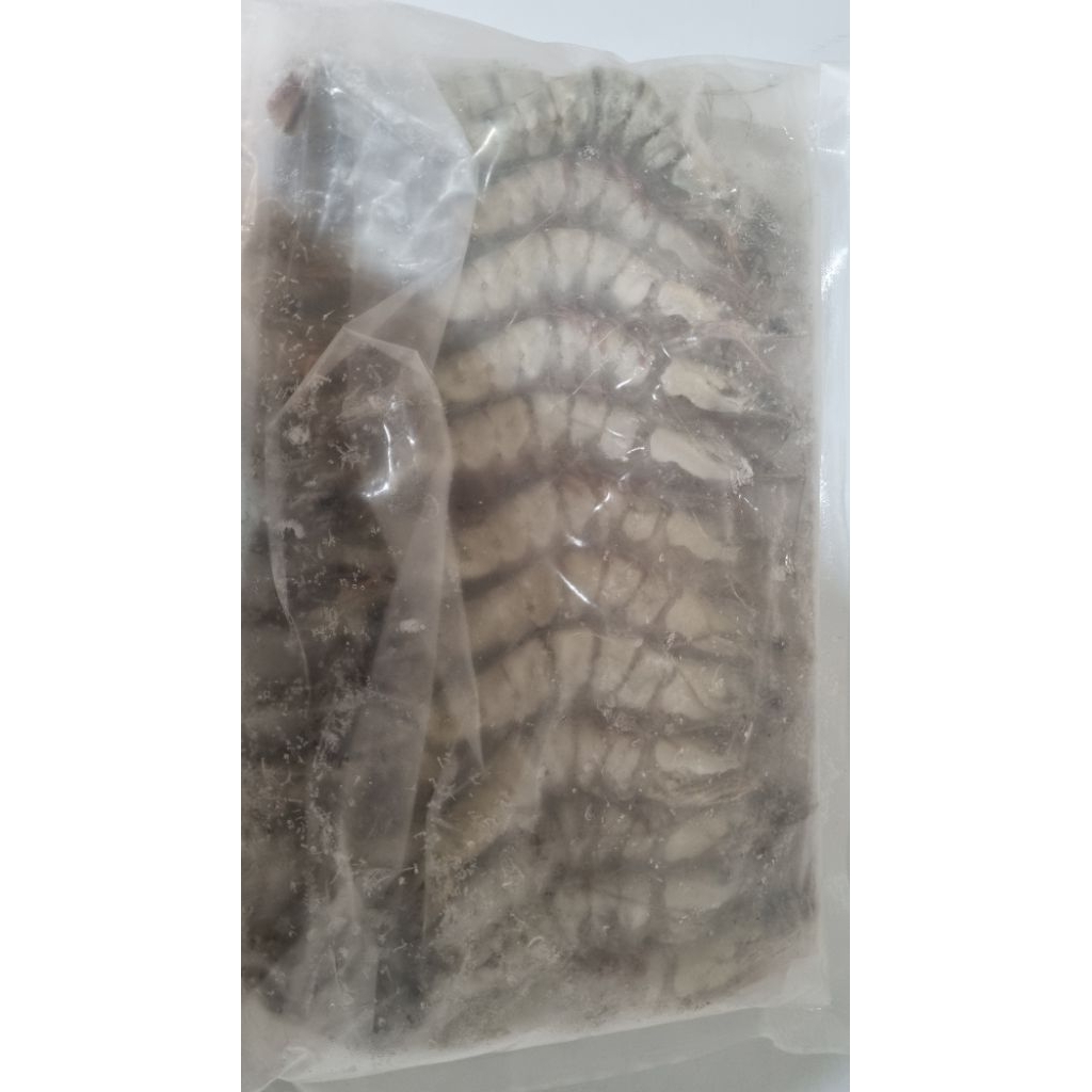 

Udang Pancet/ Tiger/ Windu 21-25