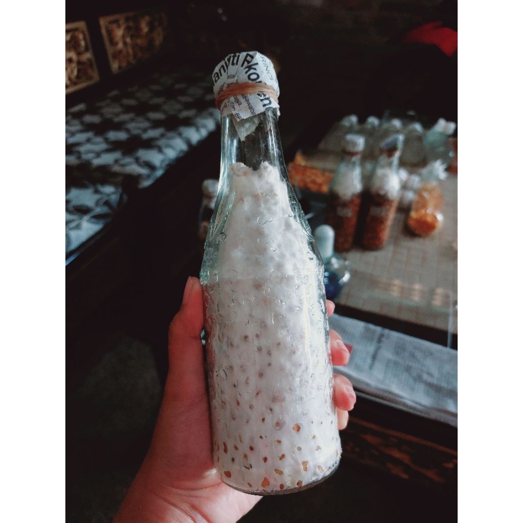 

riyuselstore - Bibit F1 Jamur Tiram Putih Florida Botol Kaca Besar Super Murah