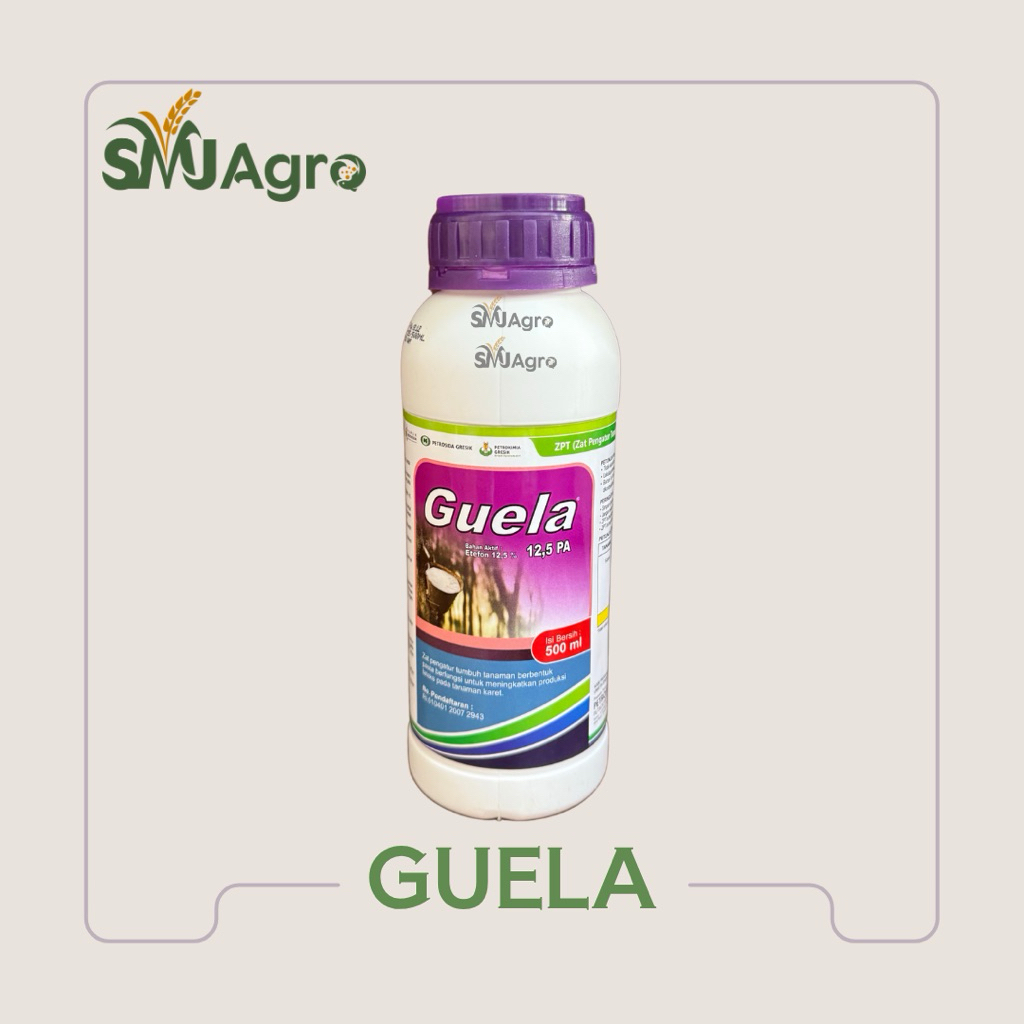 Guela 12,5 PA | ZPT Karet