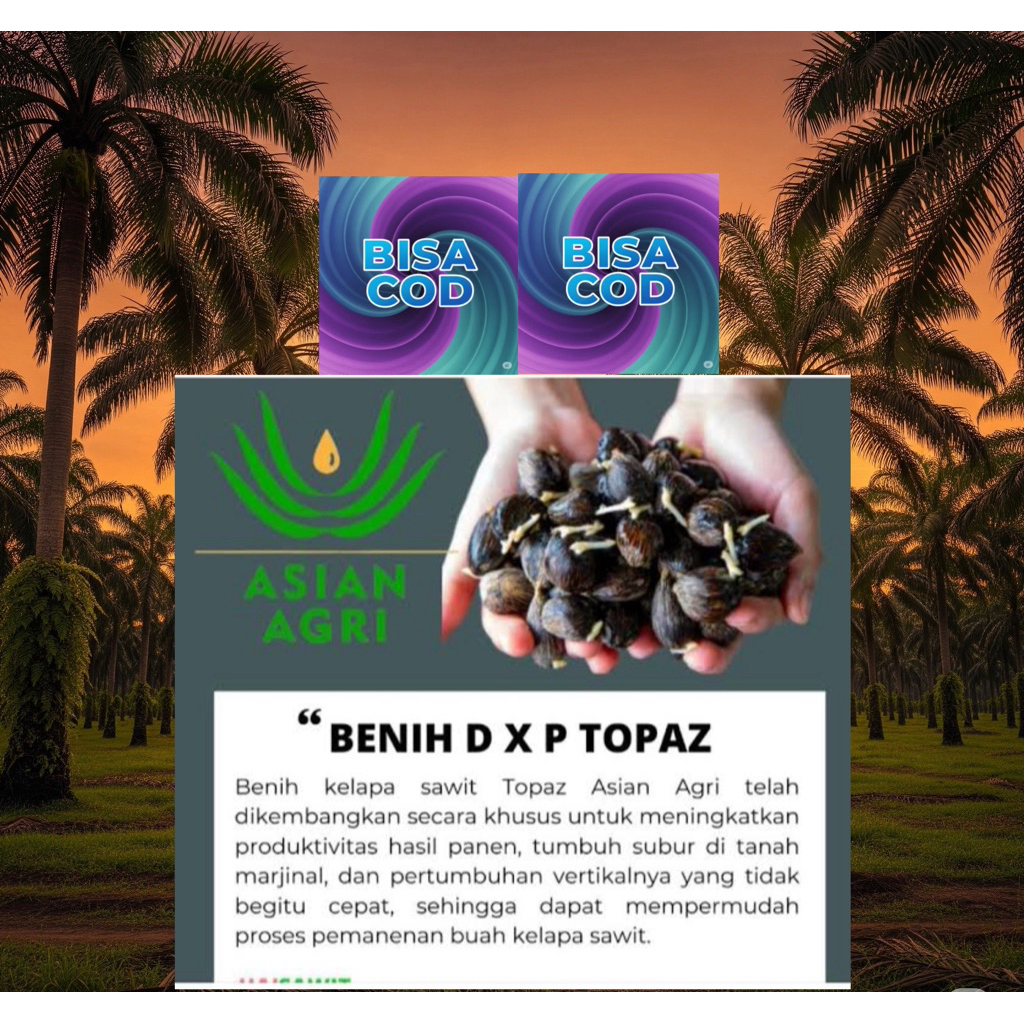 SAWIT BIBIT TOPAZ GT(PT TOPAZ ASIAN AGRI)