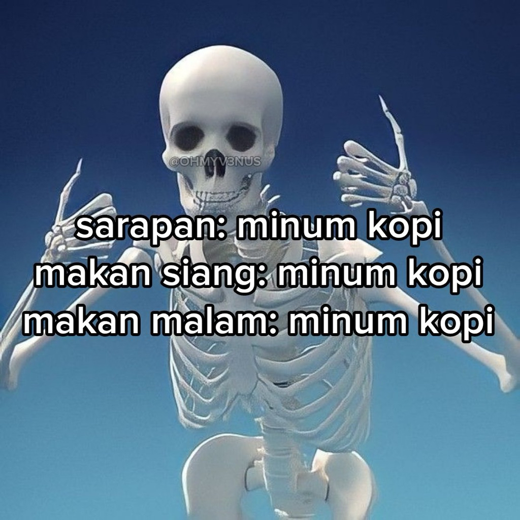 skintific refill cushion