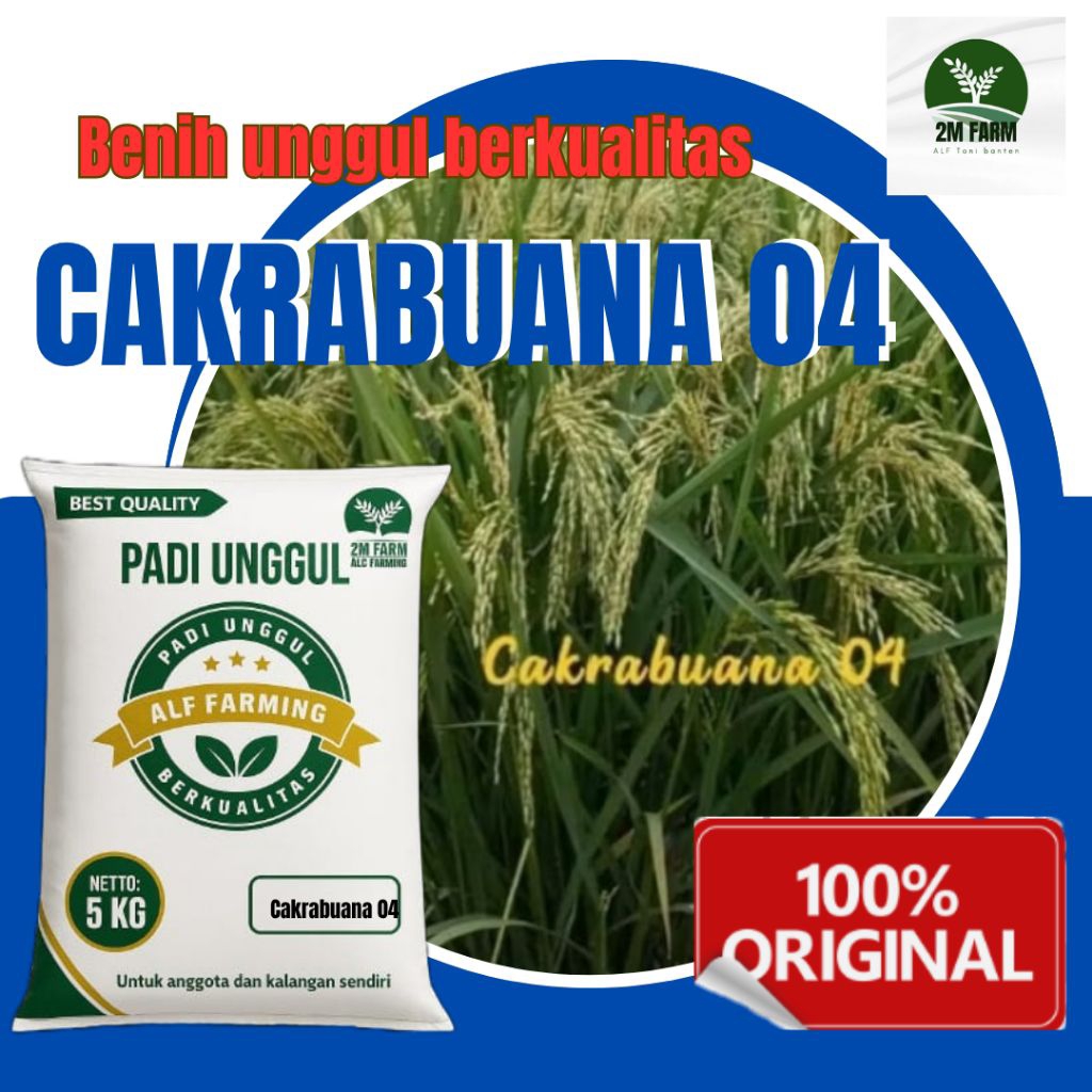 Benih padi cakrabuana benih unggul berkualitas kemasan 5kg