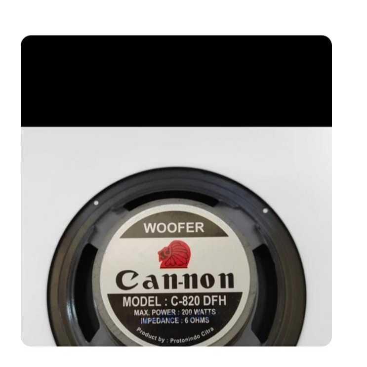 RH9816 speaker cannon can non canon pro 8 inch 8inch woofer wofer wufer by PCM LTC GLODOK