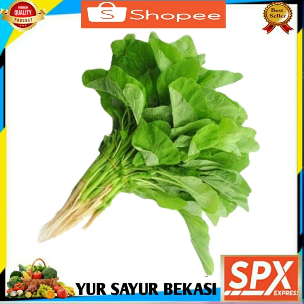 

Bayam Segar/Sayur Bayam 2 Ikat.