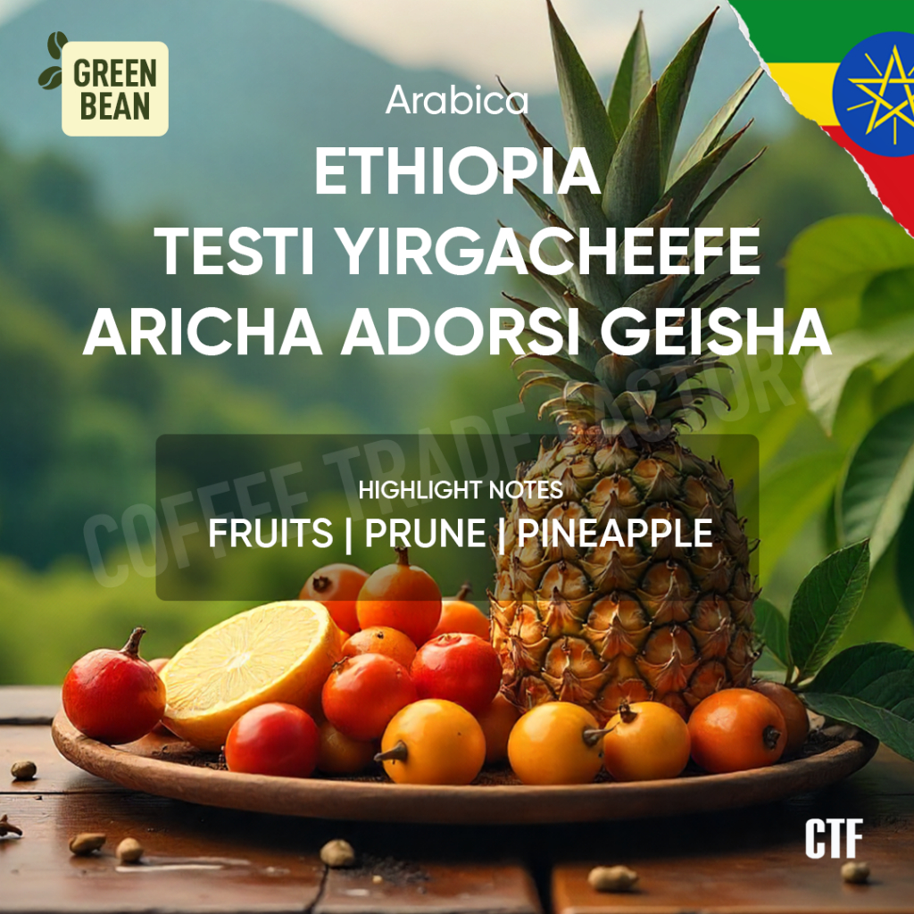 

Green Bean Arabica Ethiopia Testi Yirgacheffe Aricha Adorsi Geisha Premium Quality Coffee