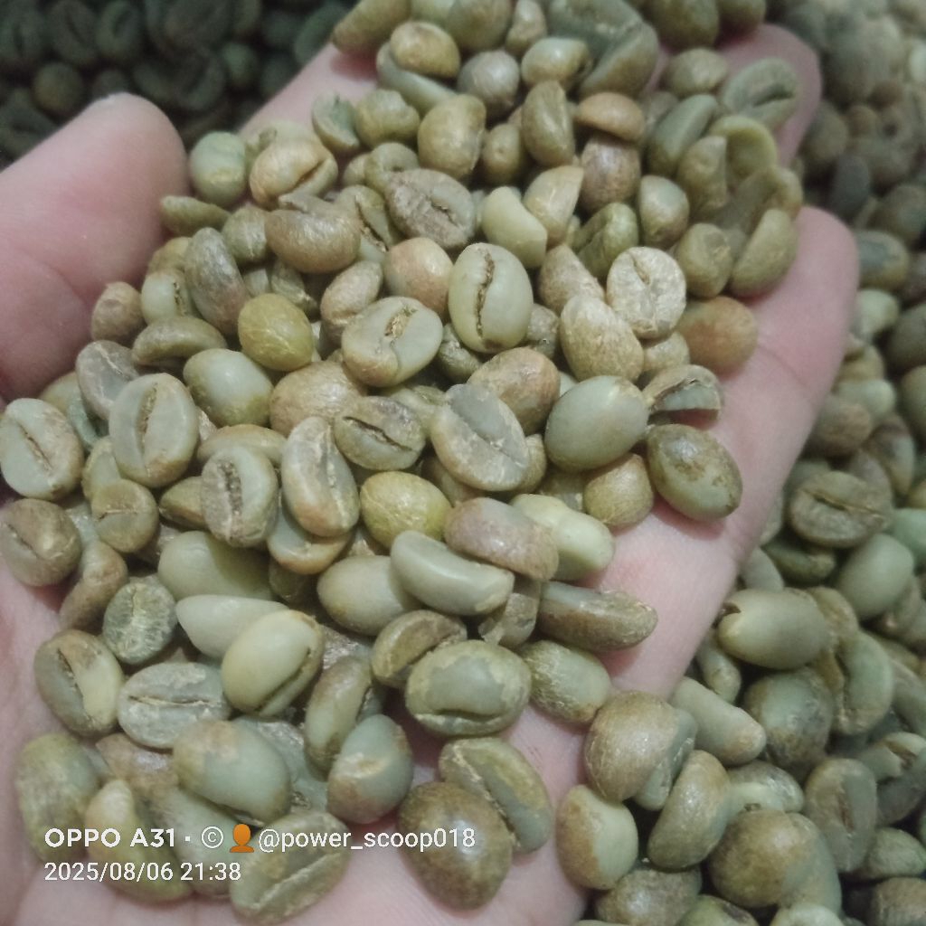 

KOPI ROBUSTA pilihan , biji kopi robusta, promo murah kopi robusta